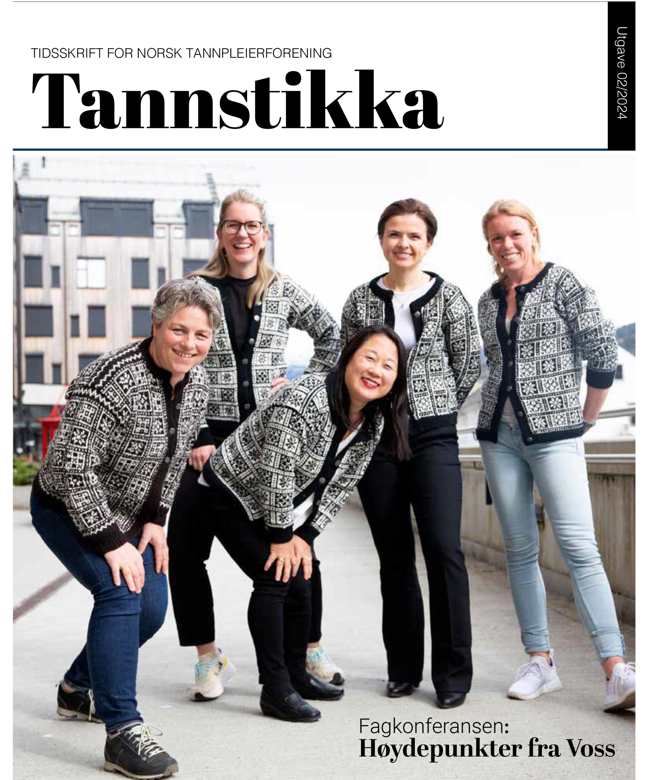 Read more about the article Tannstikka 02/24