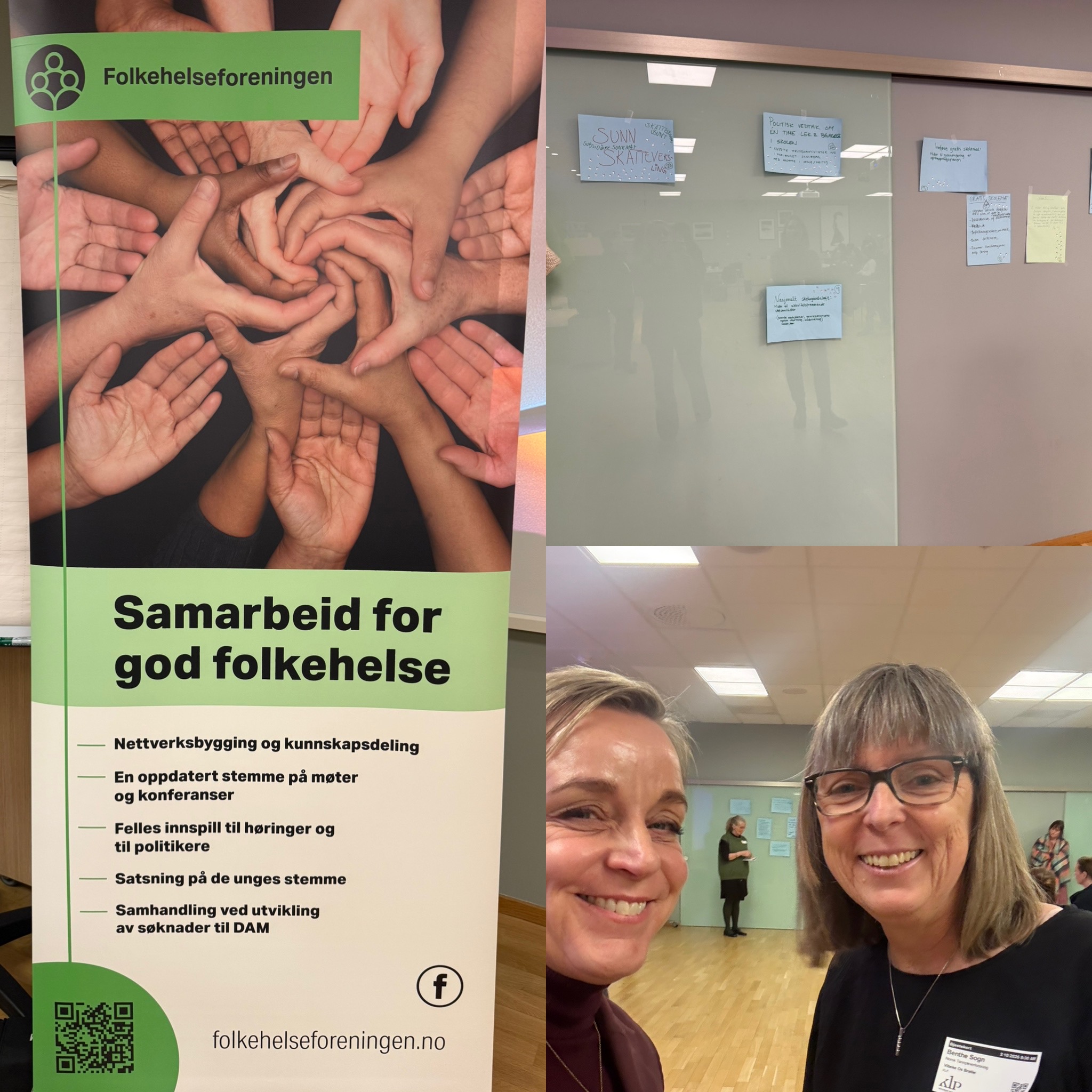 Read more about the article Innspillsmøte Folkehelseforeningen