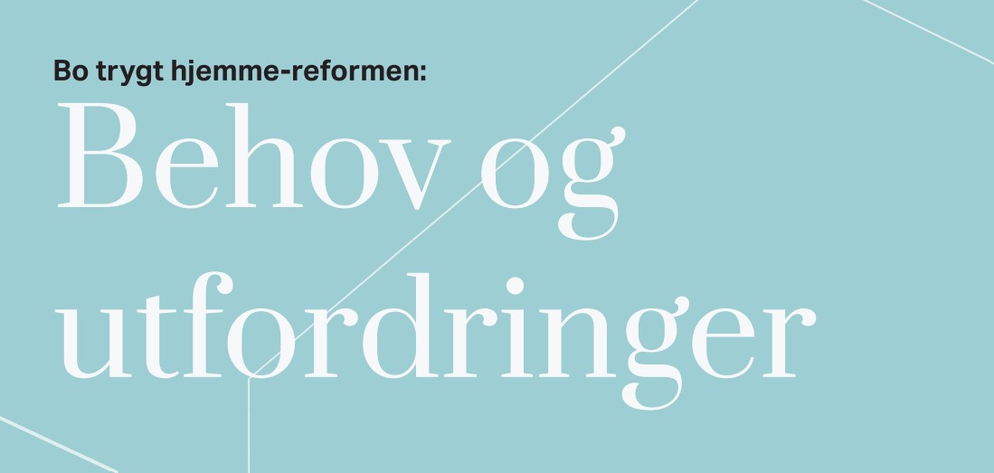 Read more about the article Bo trygt hjemme-reformen