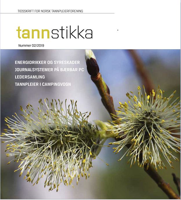 Read more about the article Tannstikka 02/2019