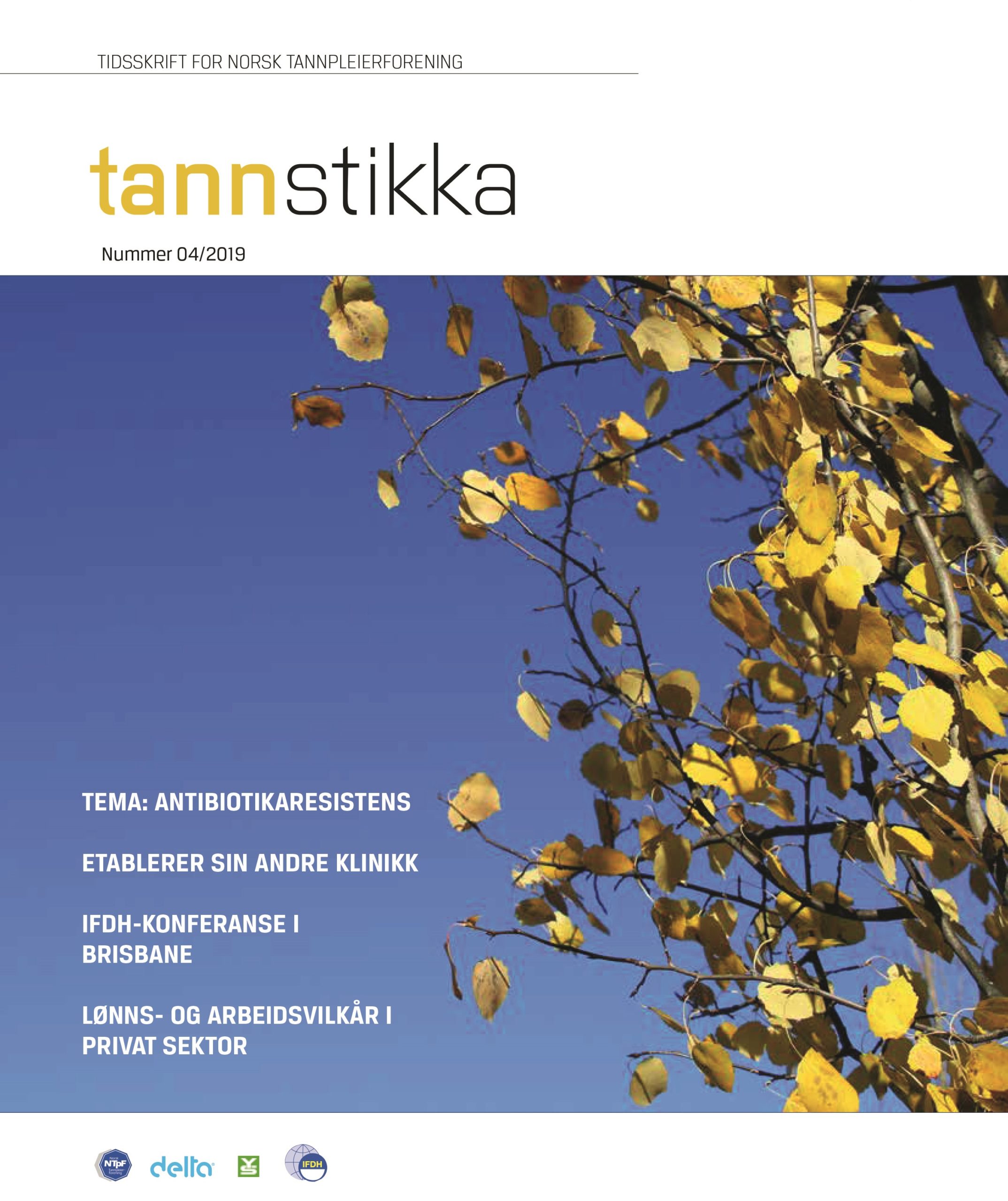 Read more about the article Tannstikka 04/2019