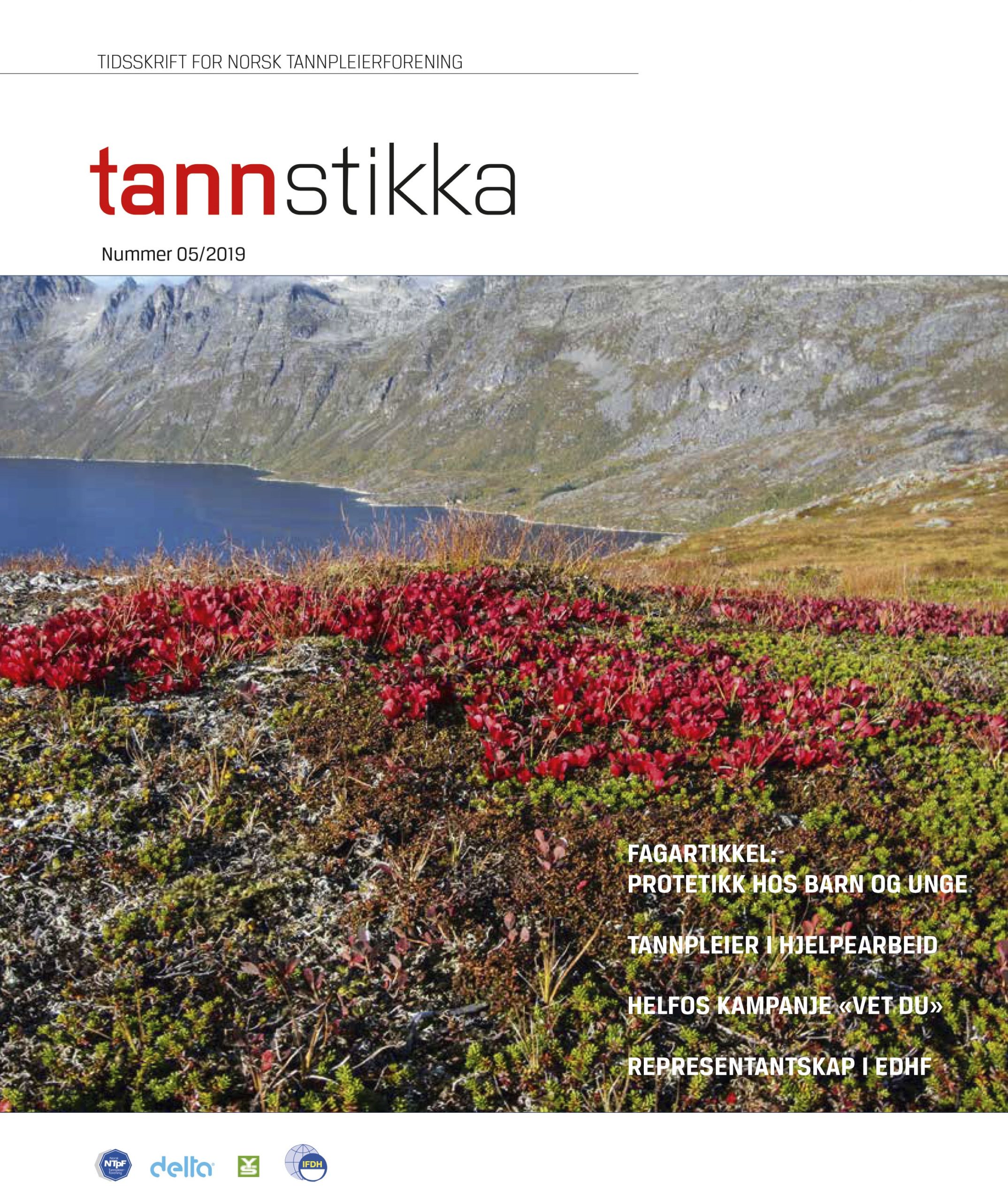 Read more about the article Tannstikka 05/2019