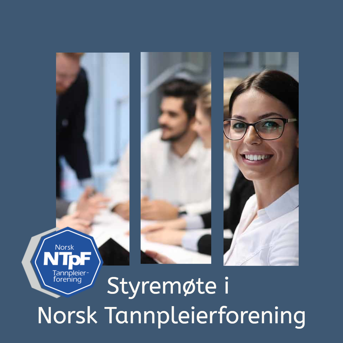 Read more about the article Styremøte Norsk Tannpleierforening