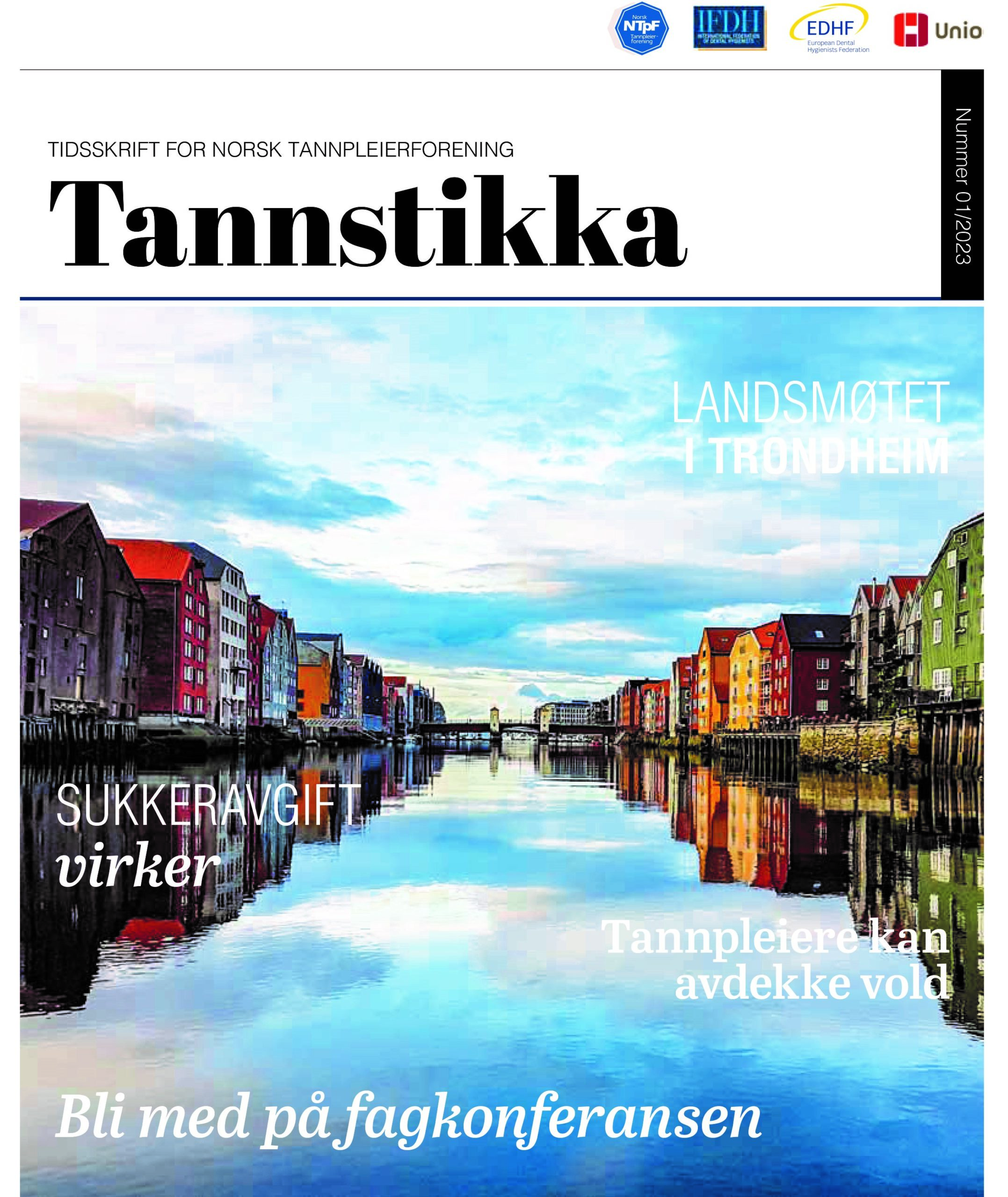 Read more about the article Tannstikka 01/23