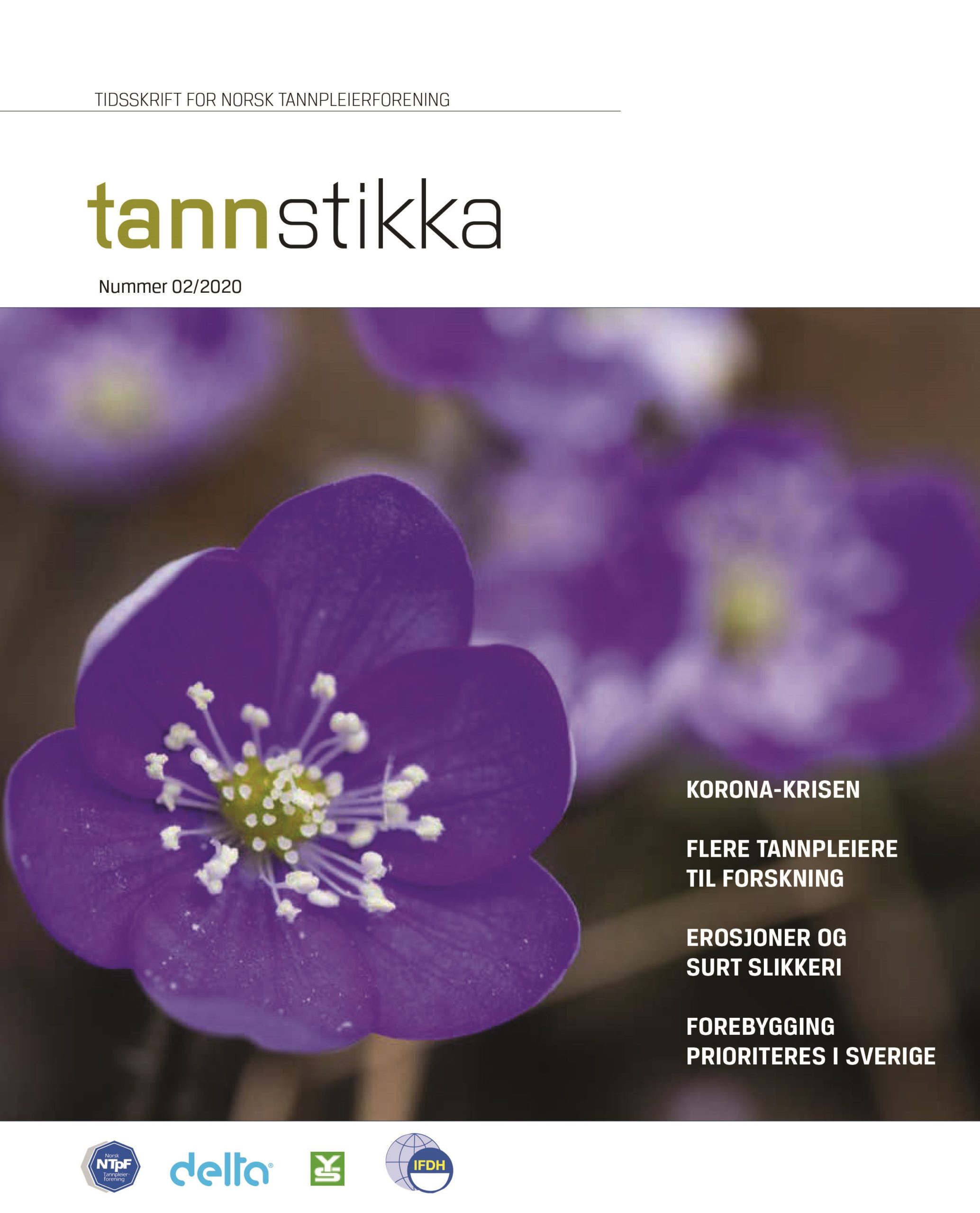 Read more about the article Tannstikka 02/2020