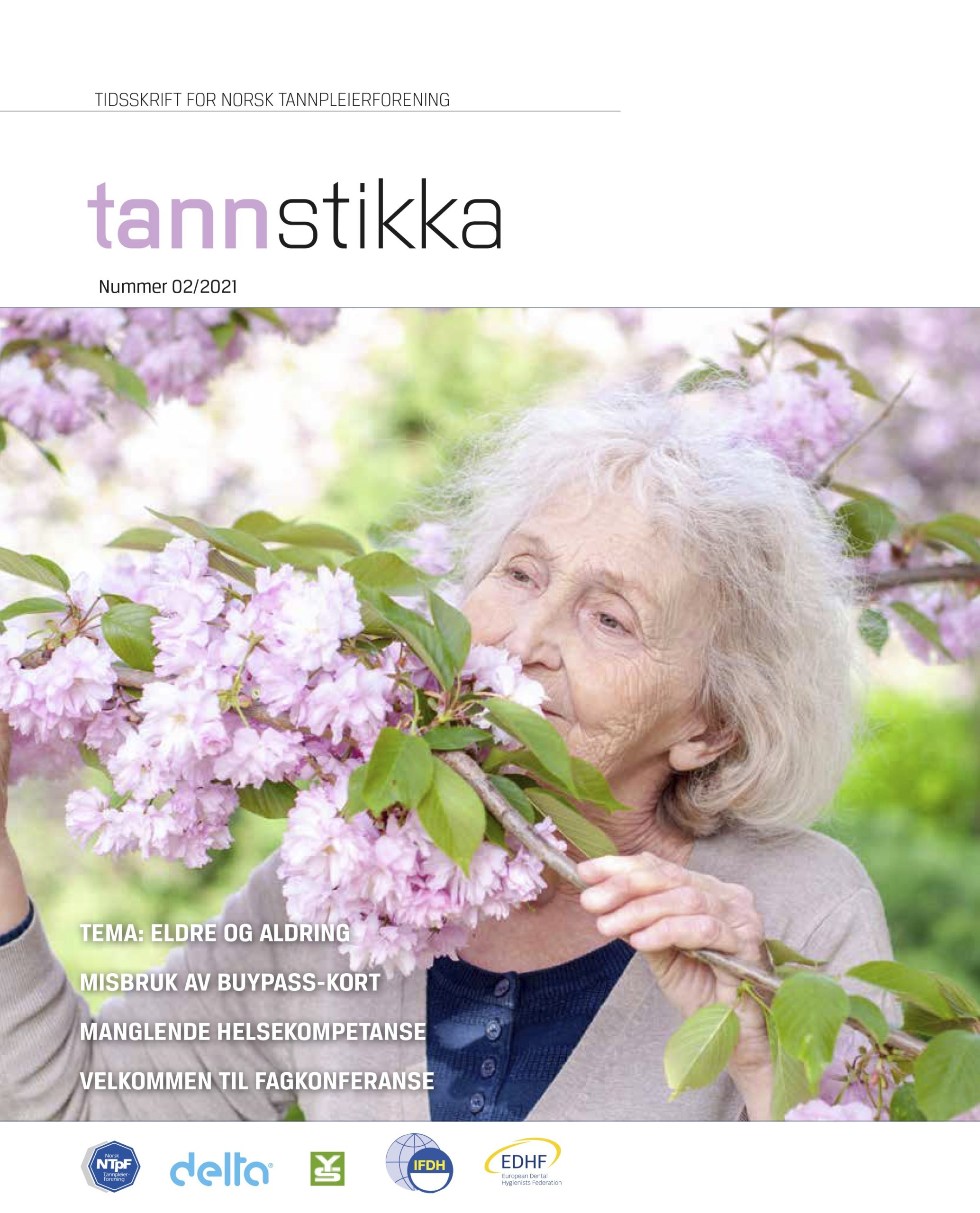 Read more about the article Tannstikka 02/2021