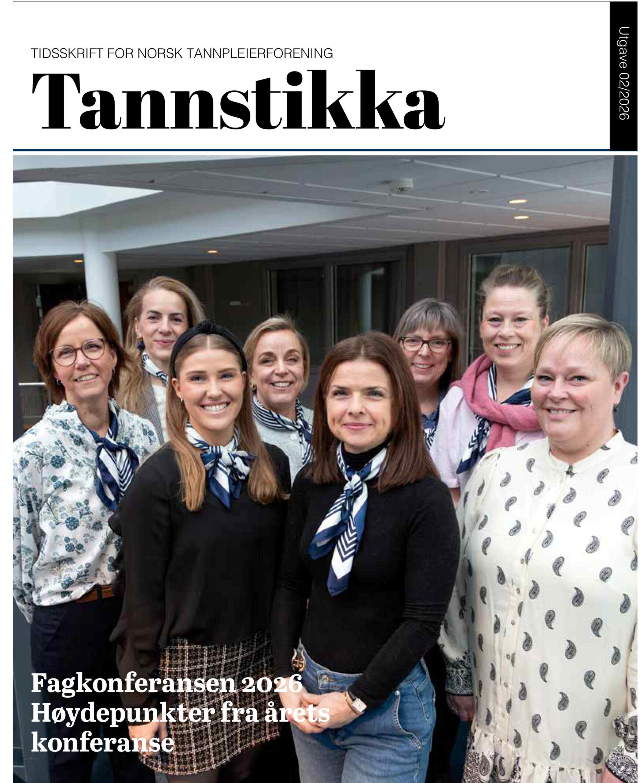 Read more about the article Tannstikka 02/26