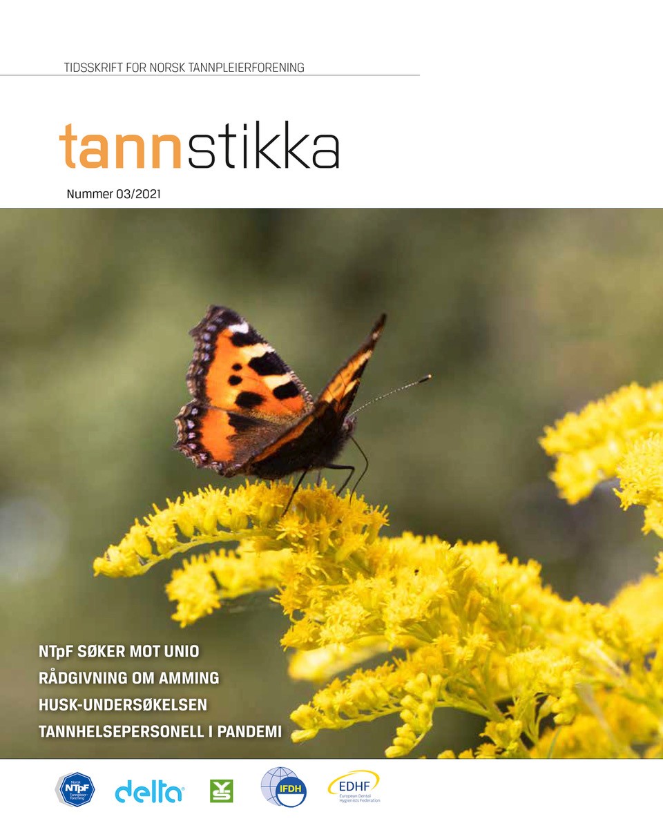 Read more about the article Tannstikka 03/2021