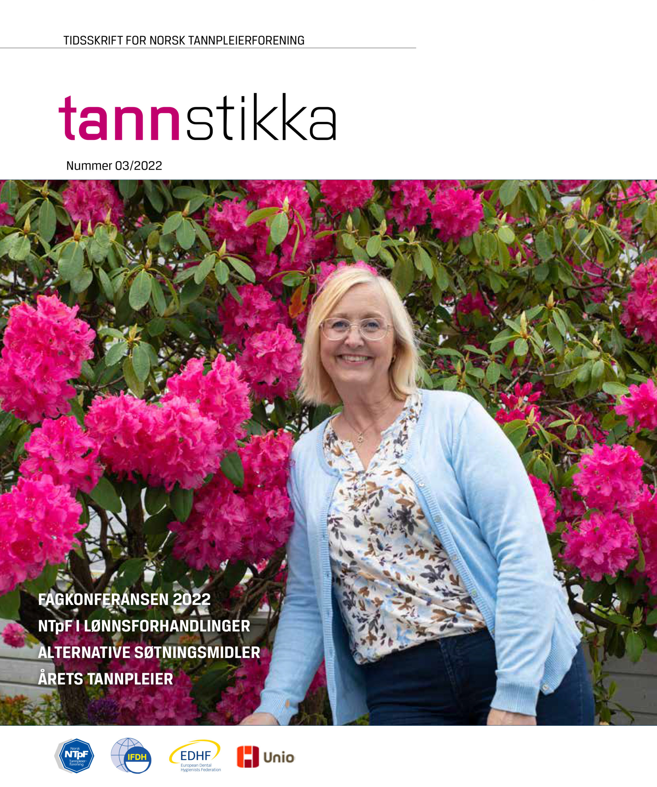 Read more about the article Tannstikka 03/22