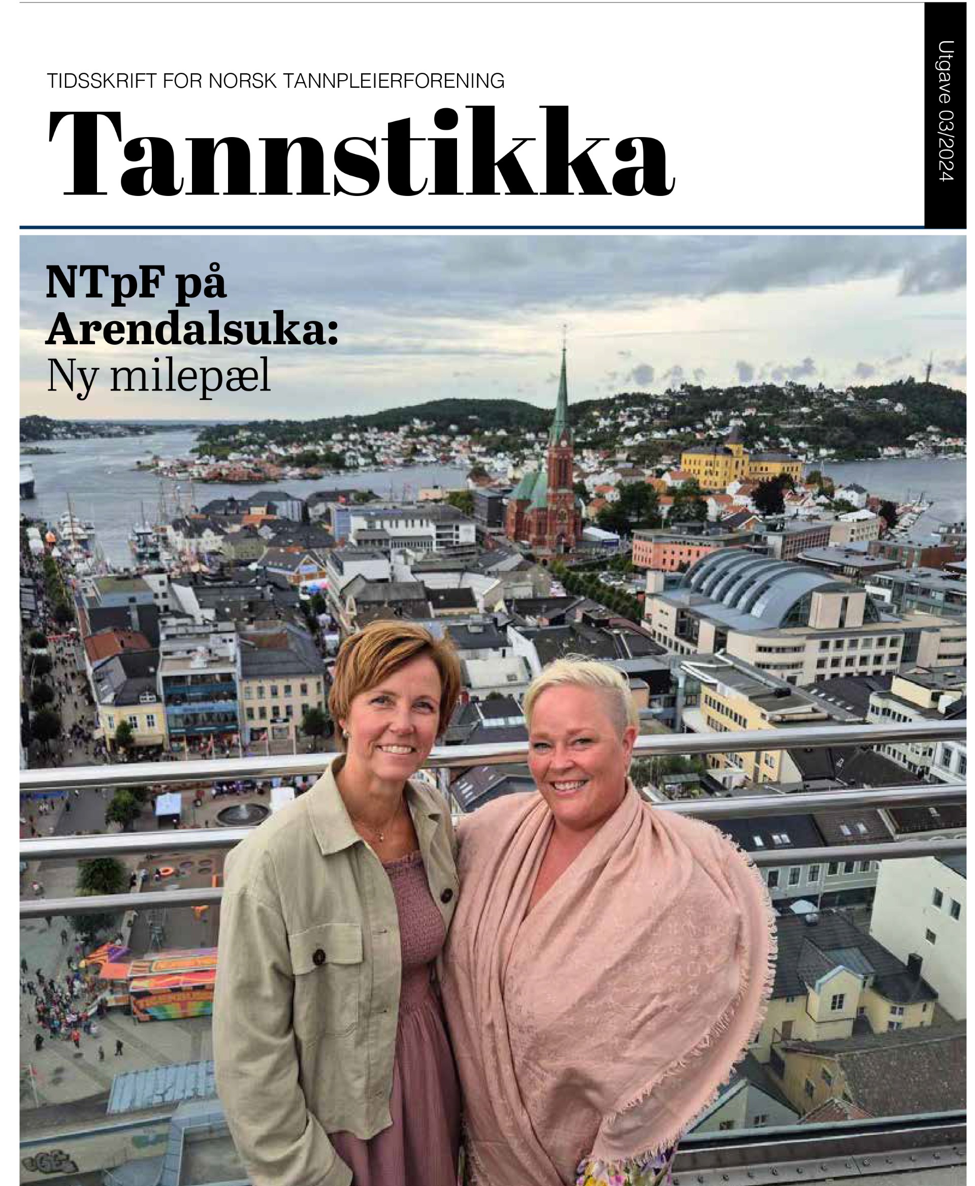 Read more about the article Tannstikka 03/24