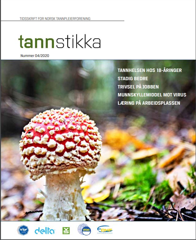Read more about the article Tannstikka 04/2020