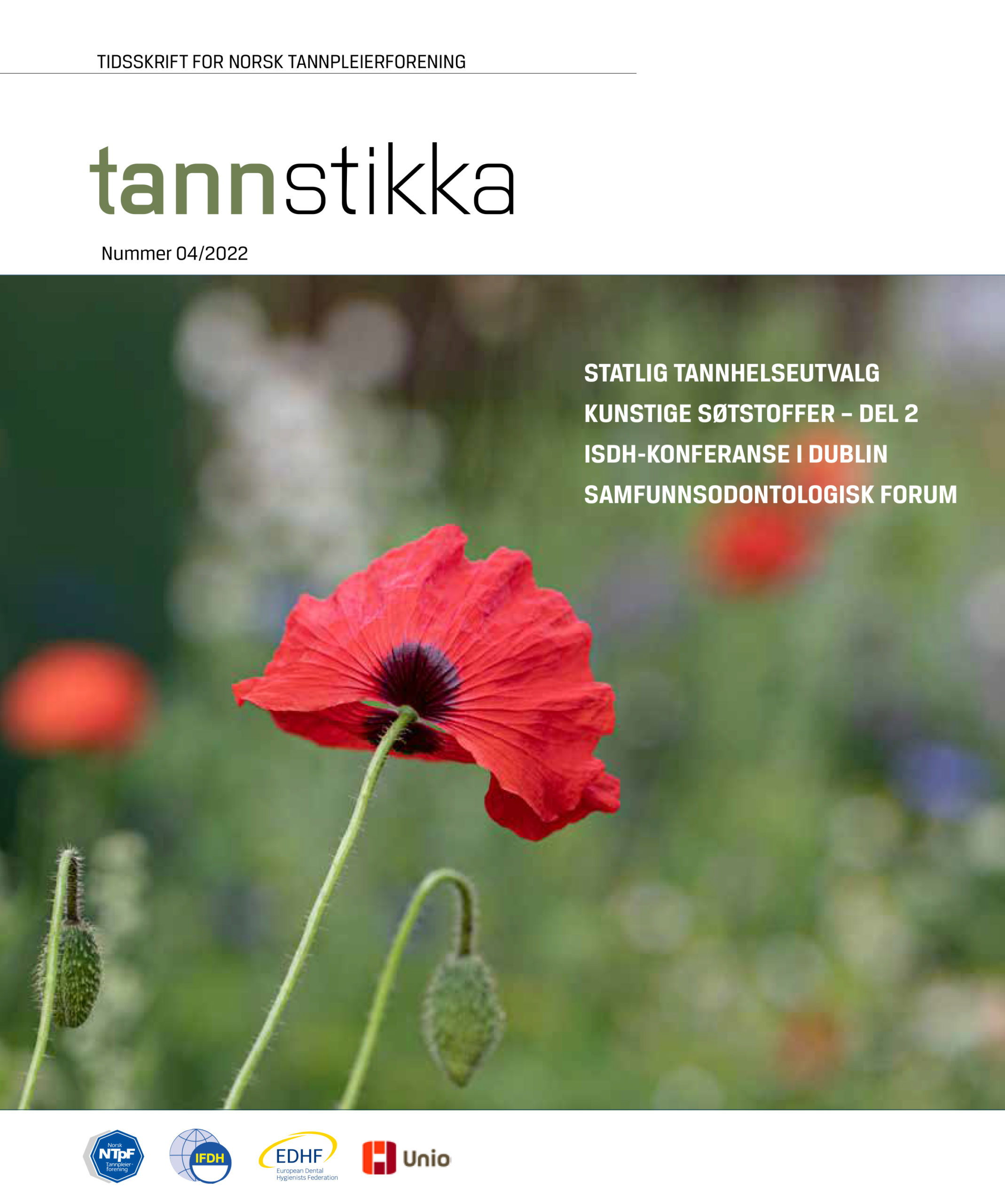 Read more about the article Tannstikka 04/22