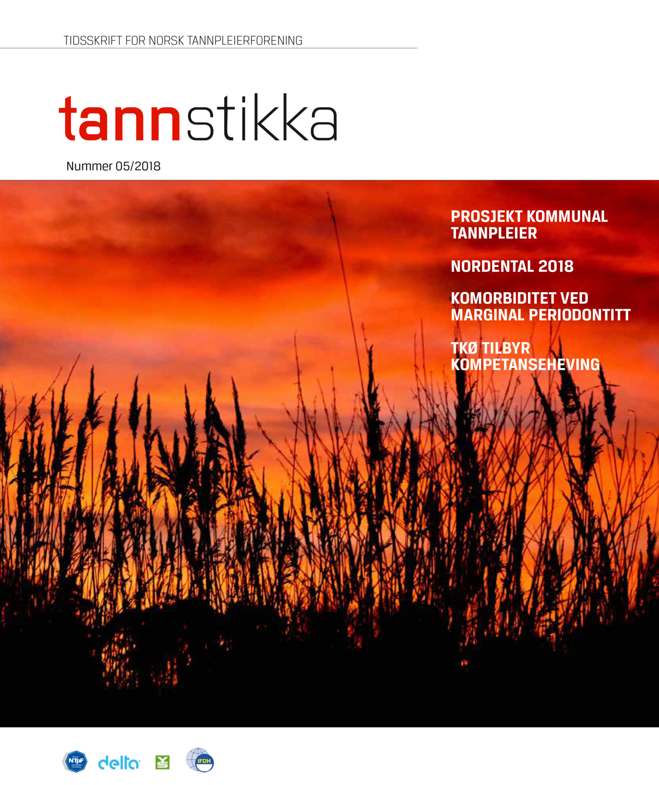 Read more about the article Tannstikka 05-2018