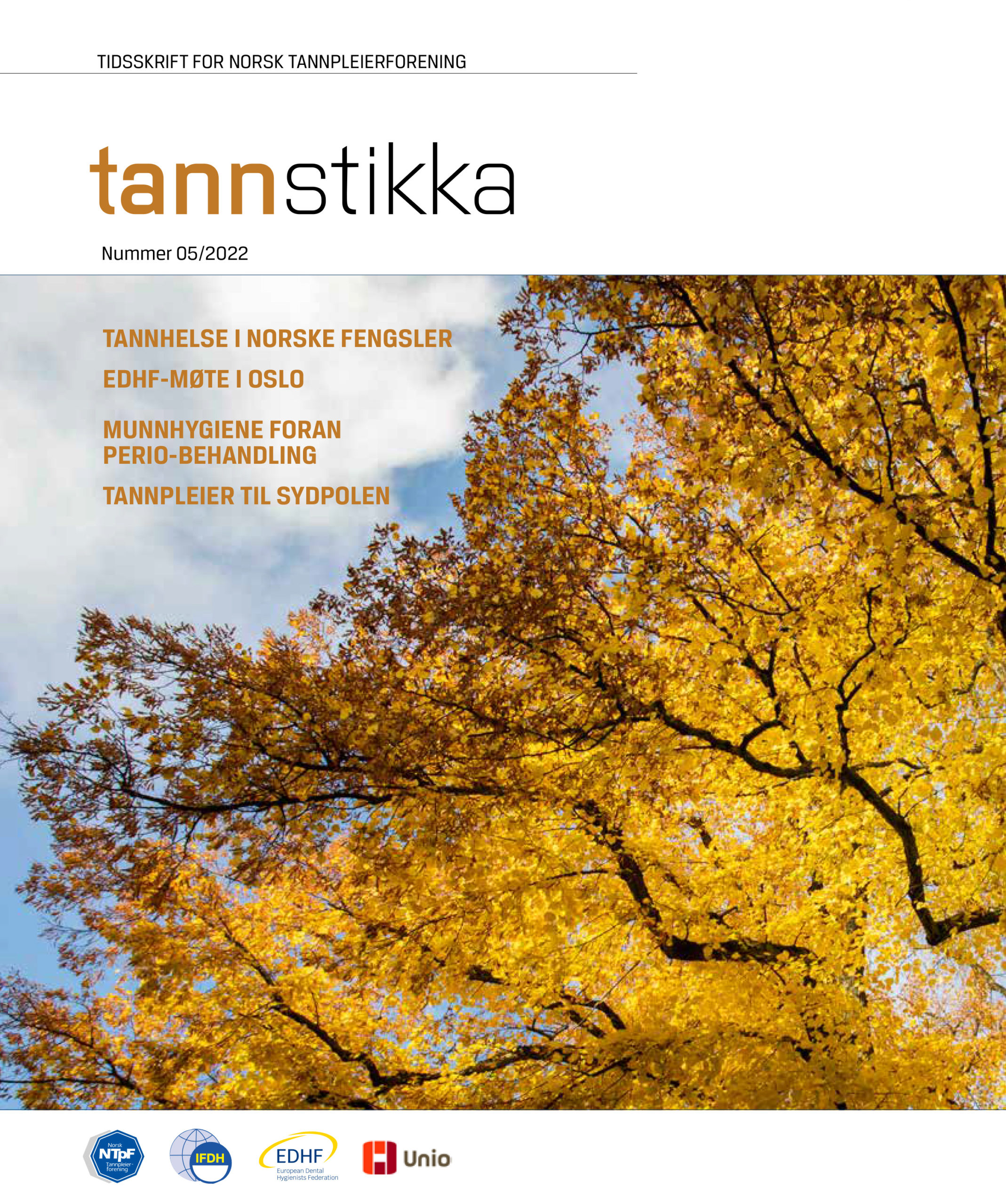 Read more about the article Tannstikka 05/22