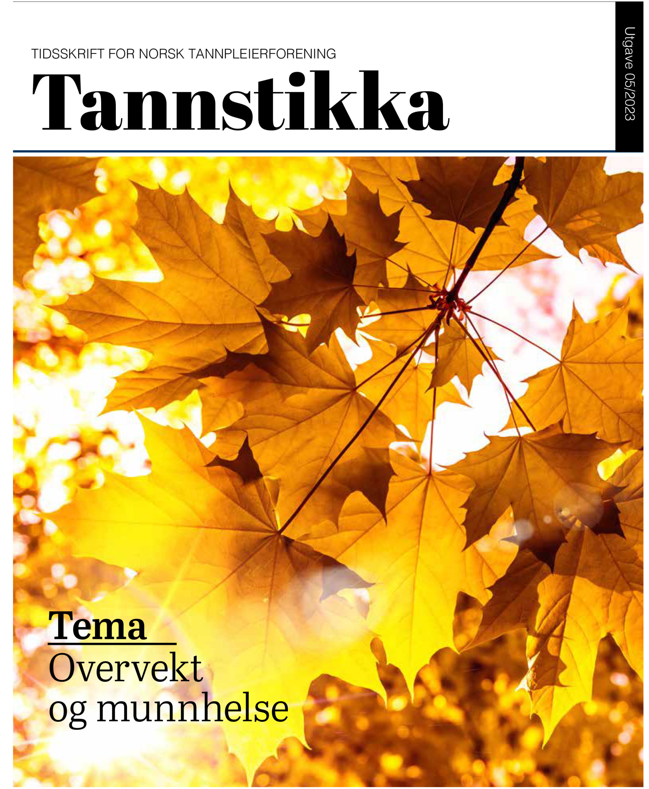 Read more about the article Tannstikka 05/23
