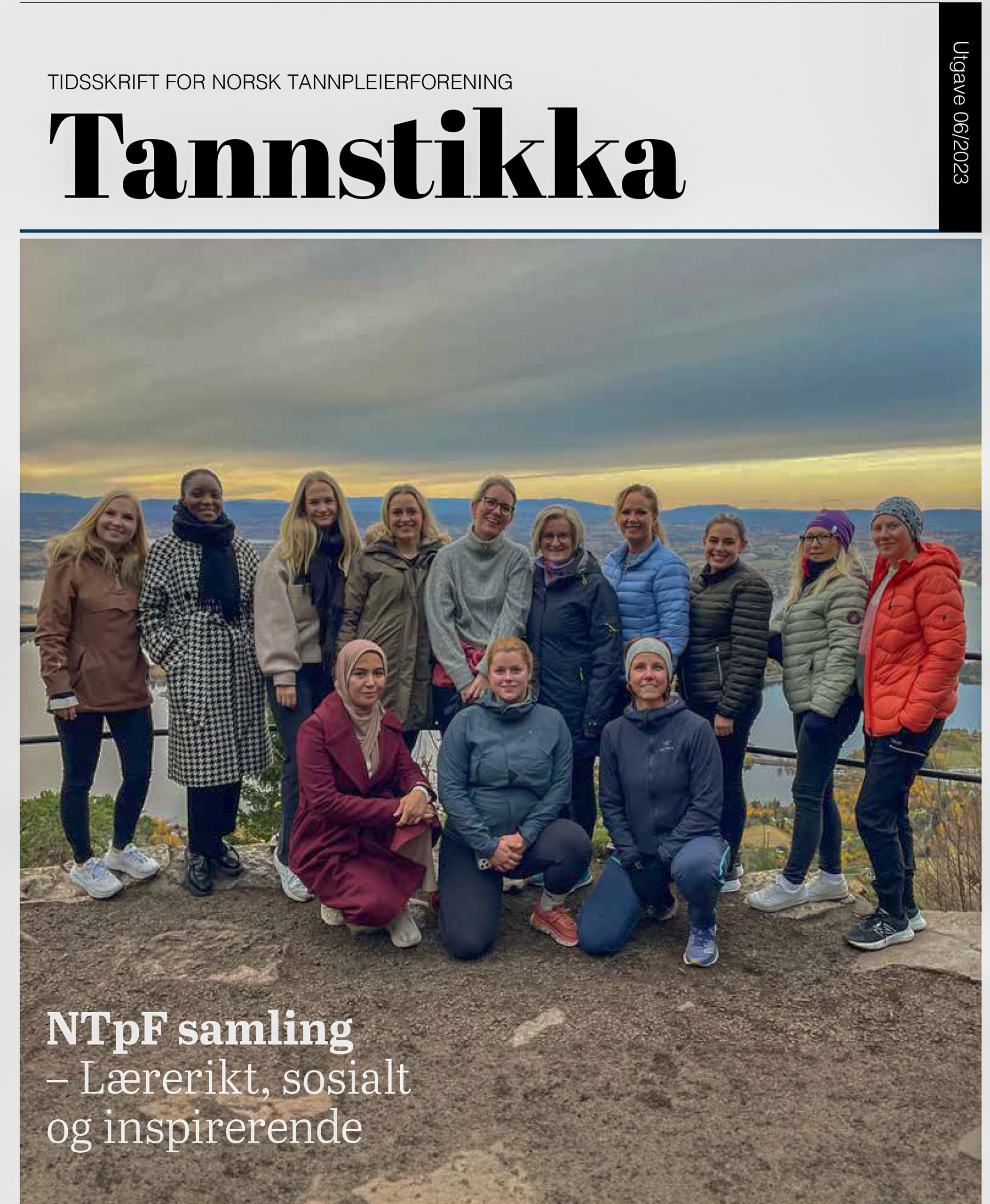 Read more about the article Tannstikka 06/23