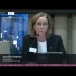 Leder Ann-Elin Instebø representerte Norsk Tannpleierforening under helse- og omsorgskomiteens høring om statsbudsjettet for 2027. Foto: Stortingets nett-TV.