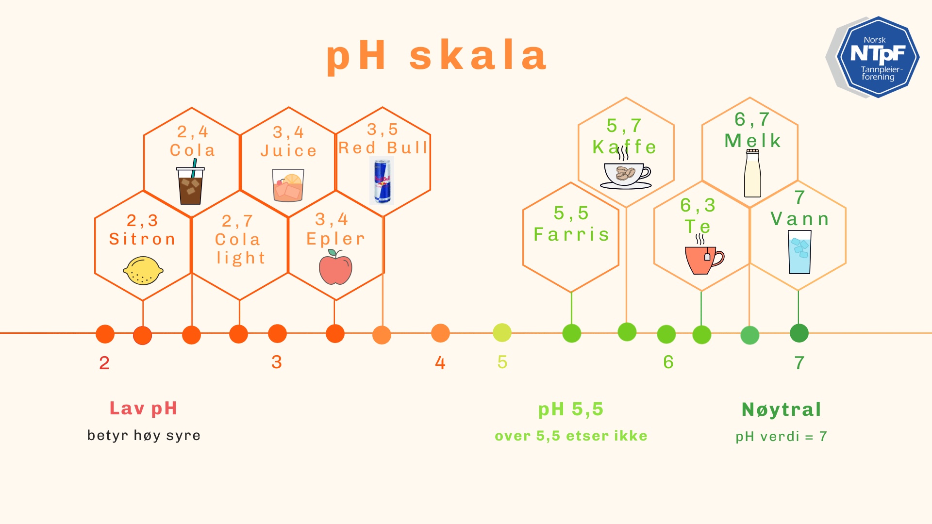 Read more about the article Ny forskning: Bedre beskyttelse mot erosjon