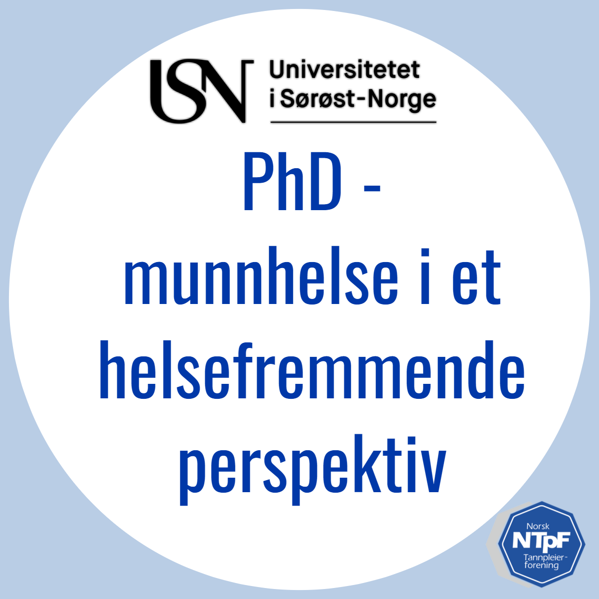Read more about the article PhD stipend ved USN